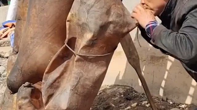 口吹羊皮筏子，没有一口好肺活量的人干不来这个