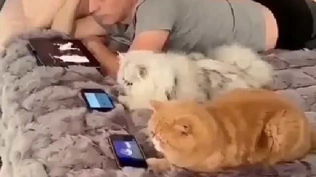 大户人家的日常