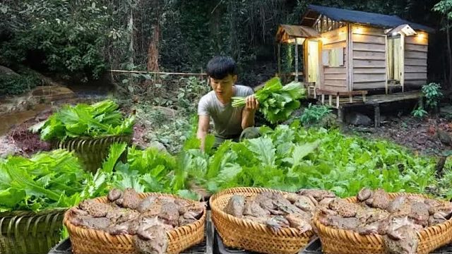 农村小伙隐居峡谷360天，仅凭一己之力，打造前所未有的世外桃源