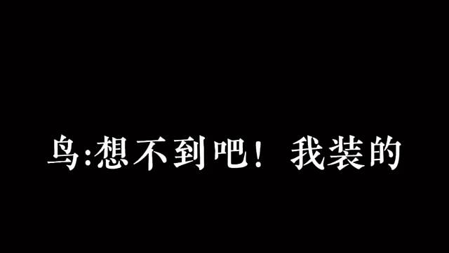 猫哥想不到吧我是装的