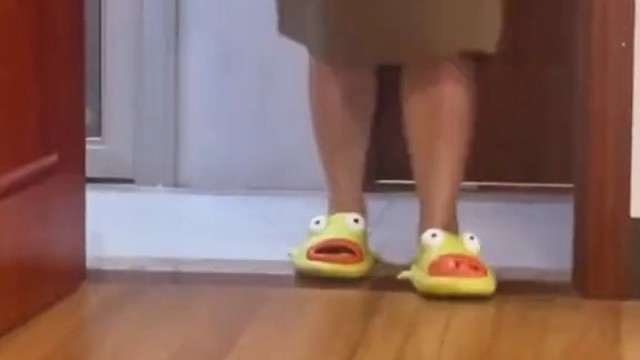 猫妈的孩子被拐跑