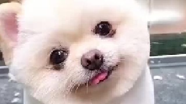 啊……猛男最爱的歪头杀