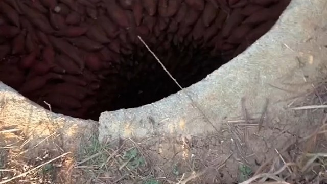 没个三五天，摆不出来这个