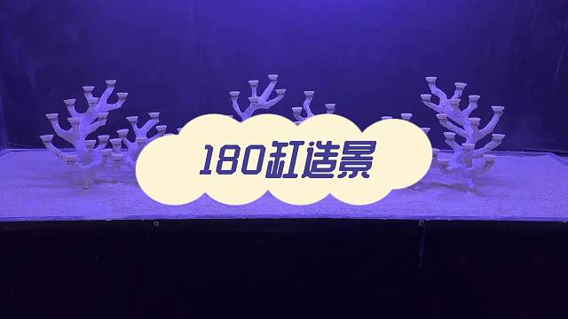 180海缸造景，珊瑚缸造景