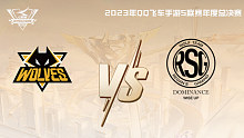 狼队 vs RSG QQ飞车手游年度总决赛