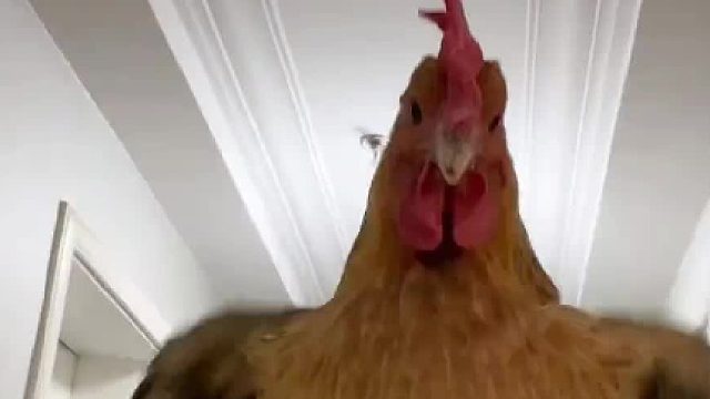 胜男：我把你揣兜里，你把我踹沟里，好好好