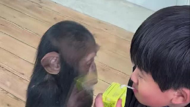 人与动物和谐共处