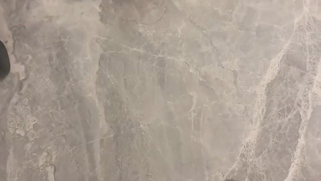 快看，你家的猫会上墙吗？