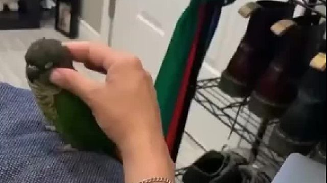 ？？？是我暗示的不够明显吗？