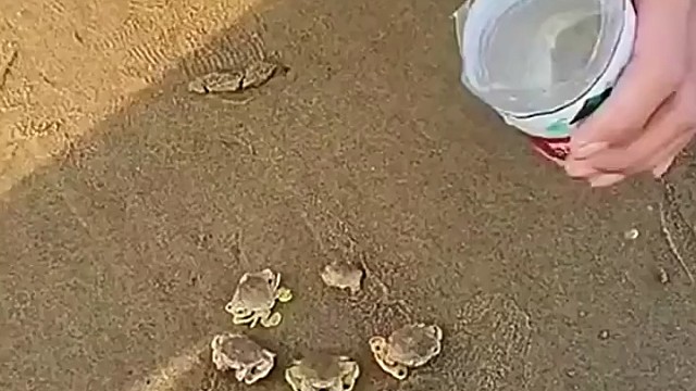 一方水土养一方人，差不了