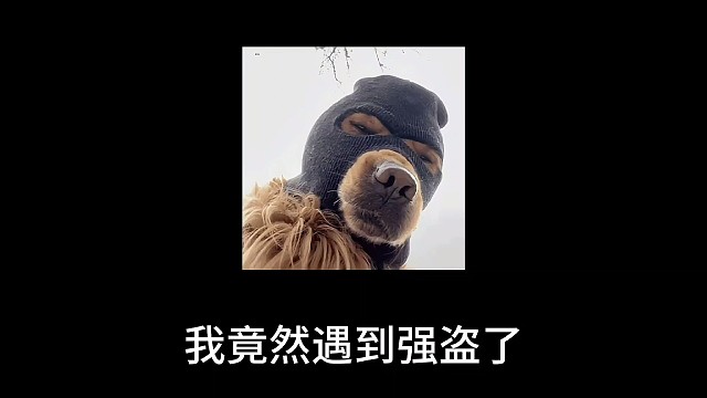 我竟然遇到强盗了