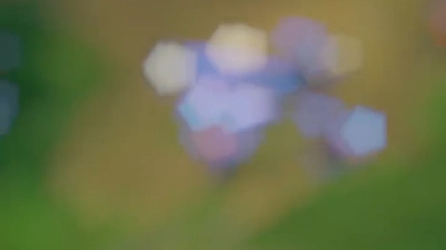 秘笈，反复横跳！