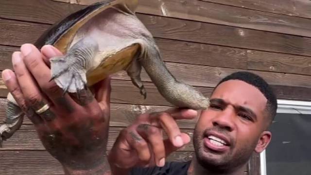 脖子巨长的长颈龟