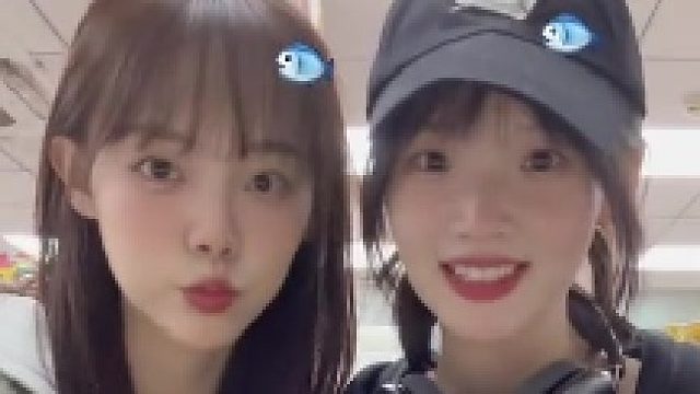 这个两年见一次