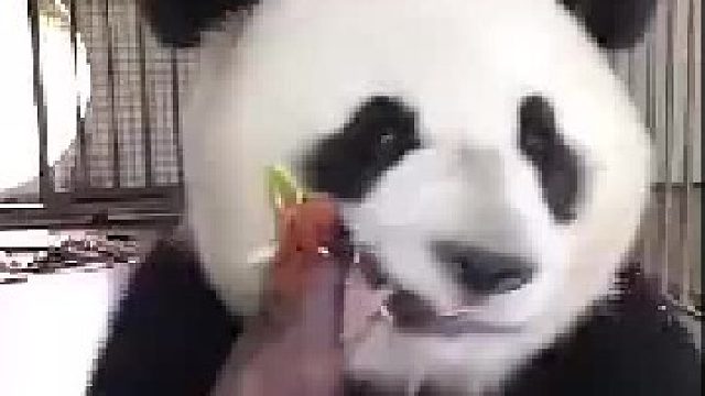 哎呀掉了一小块，不能浪费吃掉，你吃晚饭了吗