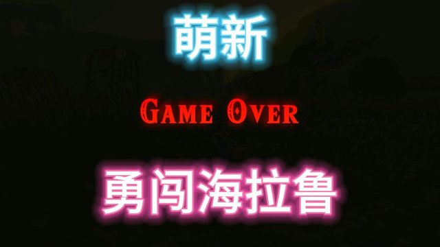 萌新勇闯海拉鲁