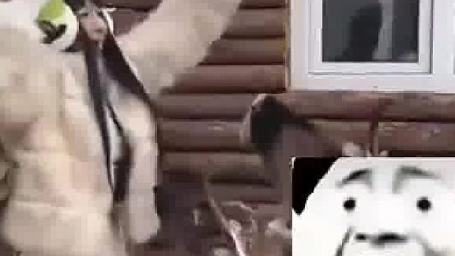 南方小姐姐被一群麋鹿逼到墙角