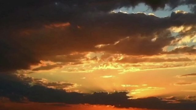 主播：君壕-花鱼。房间号：513257