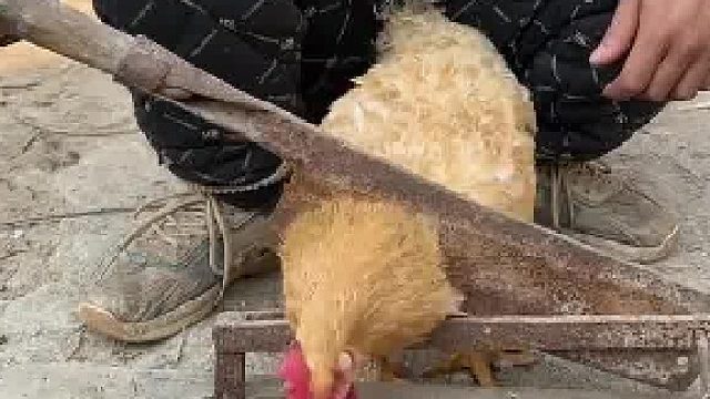 每一个单身的人都得看透……