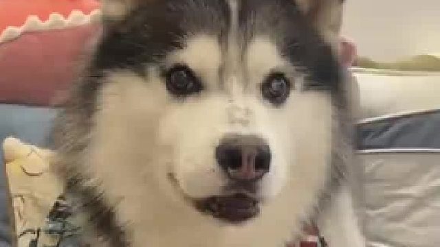 想说话谁也挡不住