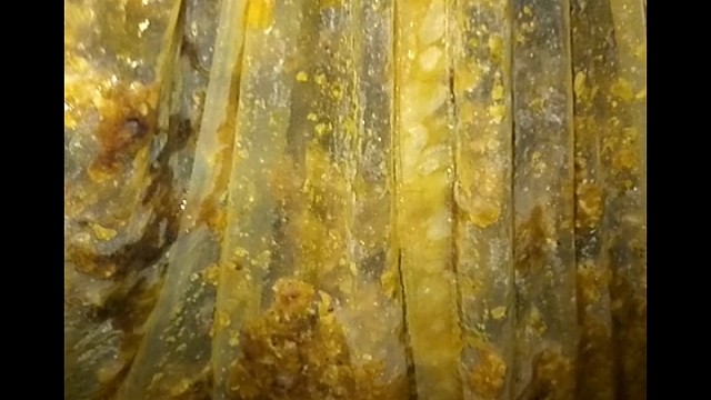 土蜂蜜   蜂巢蜜