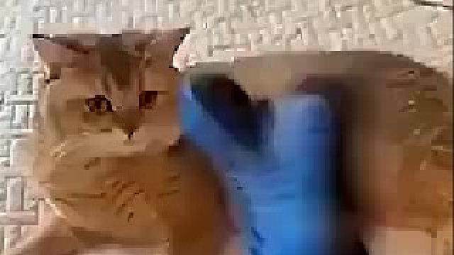 完全没猜到结局..._