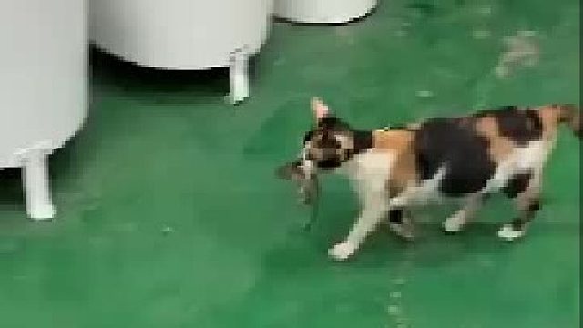 我缺吃吗？我缺穿吗？我缺的是朋友