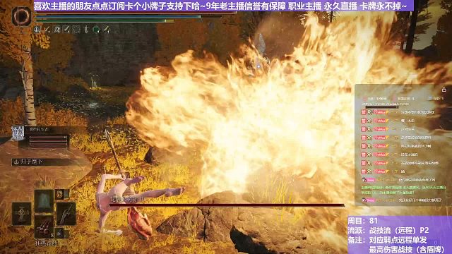 【沐】战技篇8-战技流（远程）番外篇81P2 龙装P2（战技：古雷雷枪 物理：无 属性：雷 状态：无