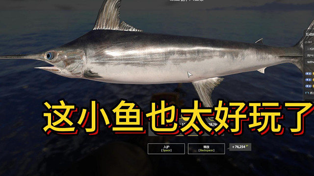 新手遇到会飞的鱼差点吓哭