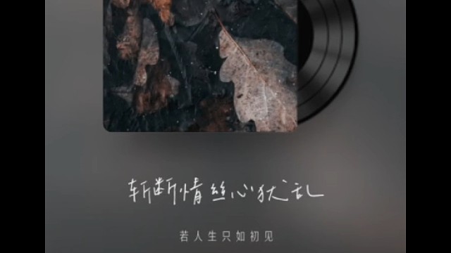 音乐一响，大家都知道大胖橘来了