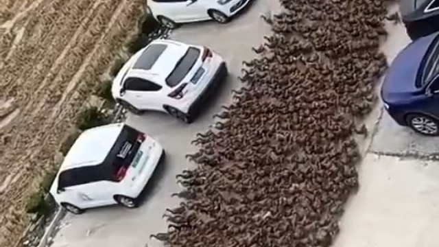 用四个字形容一下