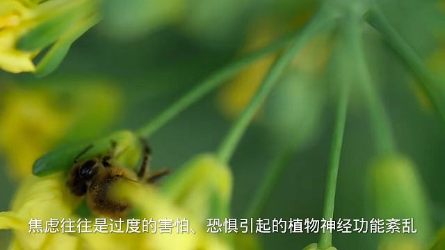 3以上状态#愿天下更健康更长寿