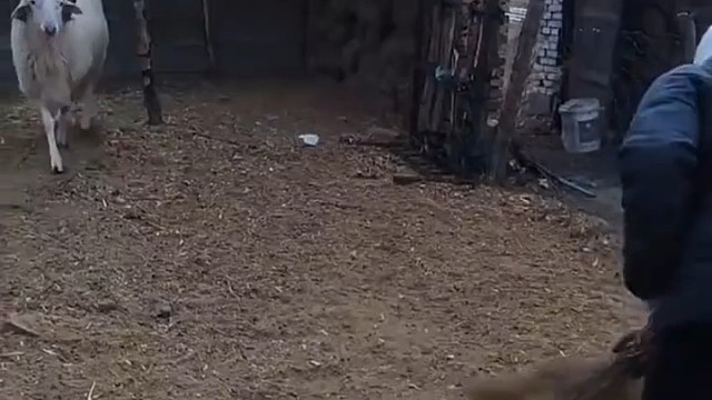 戳眼儿大法[偷笑]