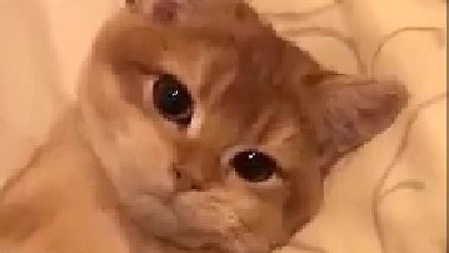 小小年纪就会撩人，长大怎么得了哦