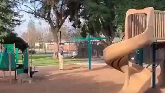 爷爷带大的狗狗生活总是那么多姿多彩！