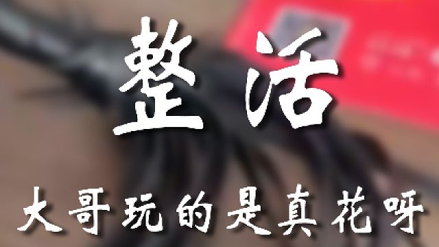 大哥口味挺重啊
