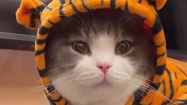 私下里是啥啥都来阿