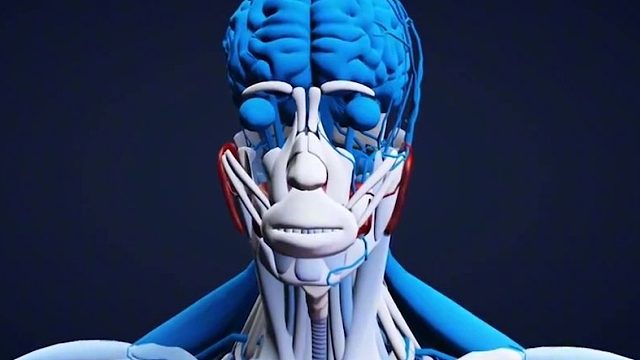 如果一个人连续1年躺在床上，会瘫痪吗03