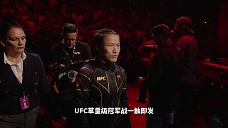 張偉麗vs閆曉南UFC冠軍頭銜將首次由兩位中國選手爭奪！