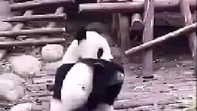 一个淘气的宝宝被打屁屁了~~~