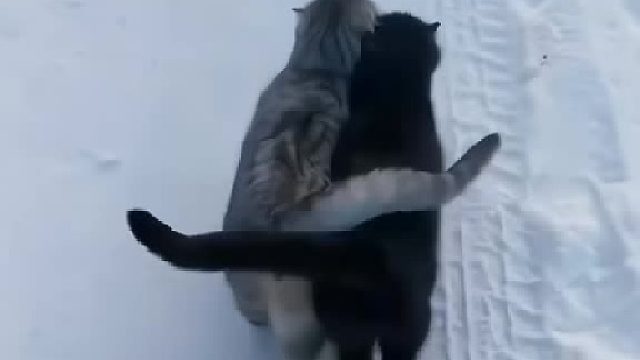 被你艾特的人，会陪你很久很久