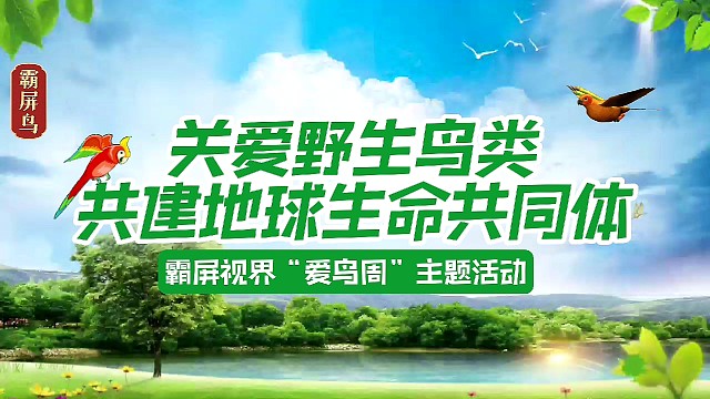 BPN 霸屏鸟TV 霸屏视界 bpsj 每个人生而不凡，未来主宰小霸主