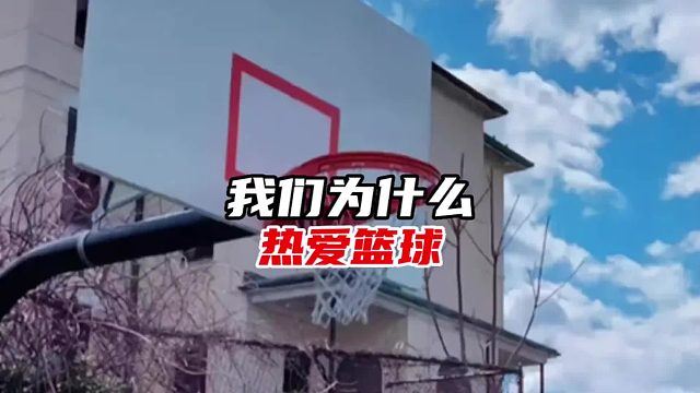 你为什么对篮球如此热爱？