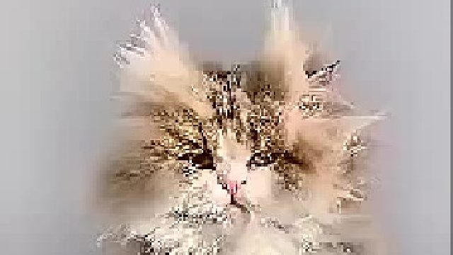 有小伙伴说想看鳌拜？