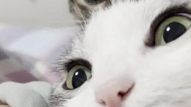 一下子懵了慌了手足无措了