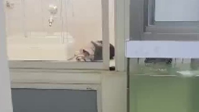 怎么还是个夹子