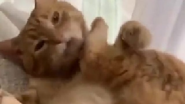 “我的腿有它自己的想法”