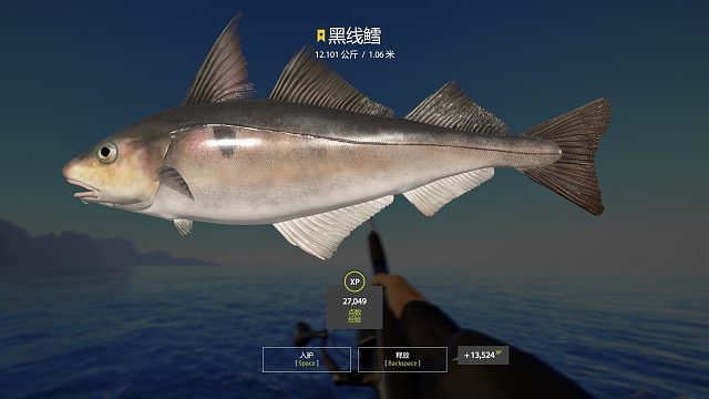 星*黑線鱈