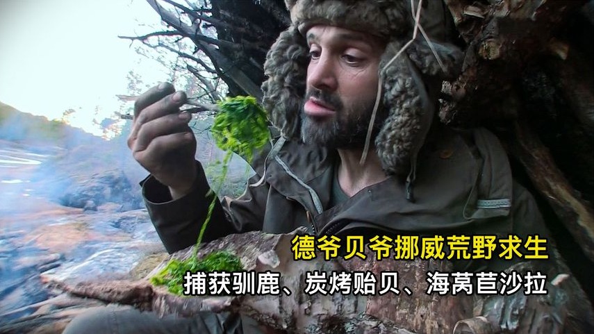 德爷贝爷危地马拉荒野求生，两斤半鲶鱼、炭烤狼蛛、河蟹炖甲虫