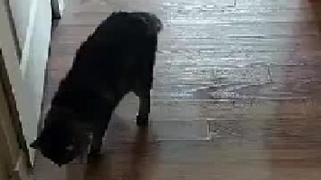 好尴尬啊，被无视了，躲了个寂寞！